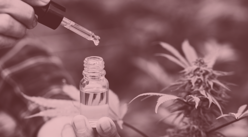 CBD oil in a glass bottle with dropper